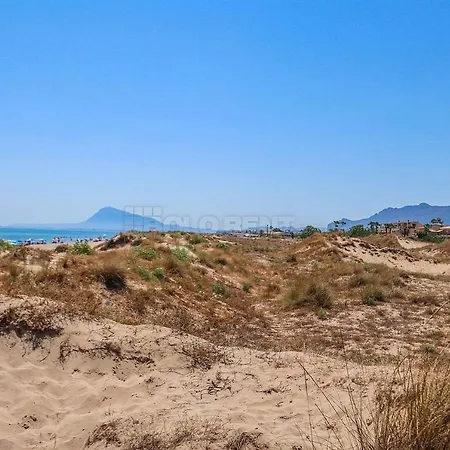 Casa De Selene Oliva